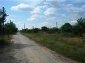 The way leading to the house